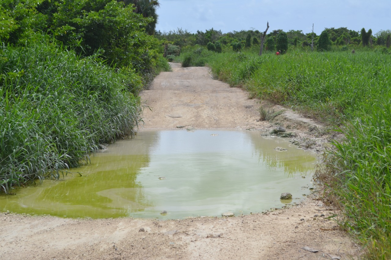 Cancelan pavimentación en camino a Laguna Ciega