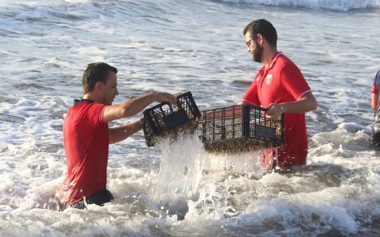 Atlante se suma a las labores contra el sargazo