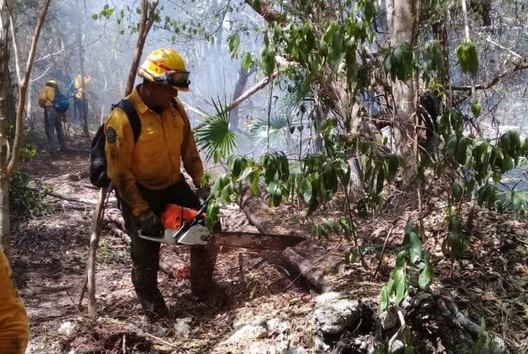 Incendio en Sian Ka’an, controlado en 70% y extinguido en un 40%