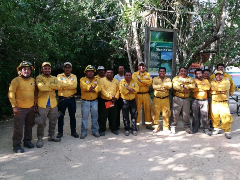 Controlan en 70 por ciento incendio en Sian Ka’an