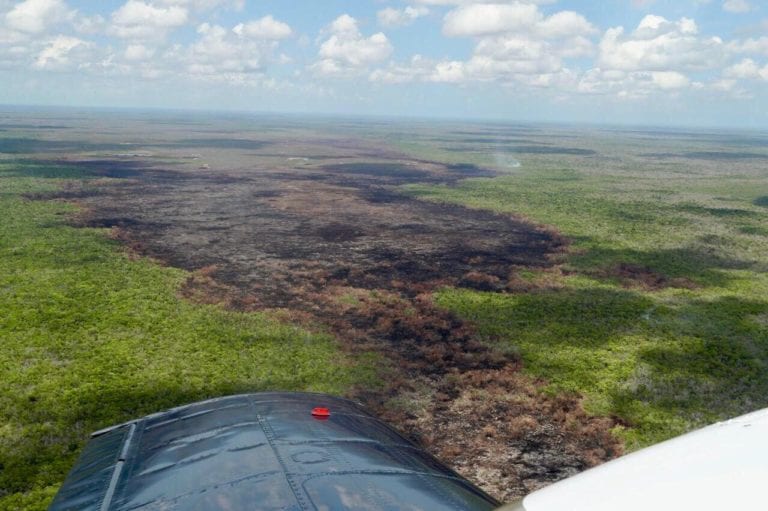 Controlan 45% del incendio forestal en Sian Ka’an