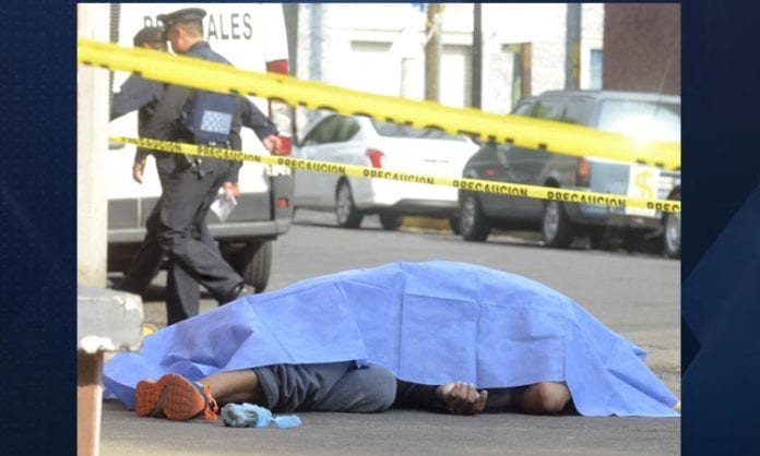 Un grupo de vecinos enardecidos apuñaló a un joven que envenenaba a perros con pedazos de carne que contenían una sustancia tóxica.