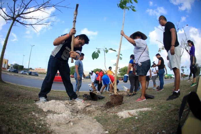 instituto de la juventud