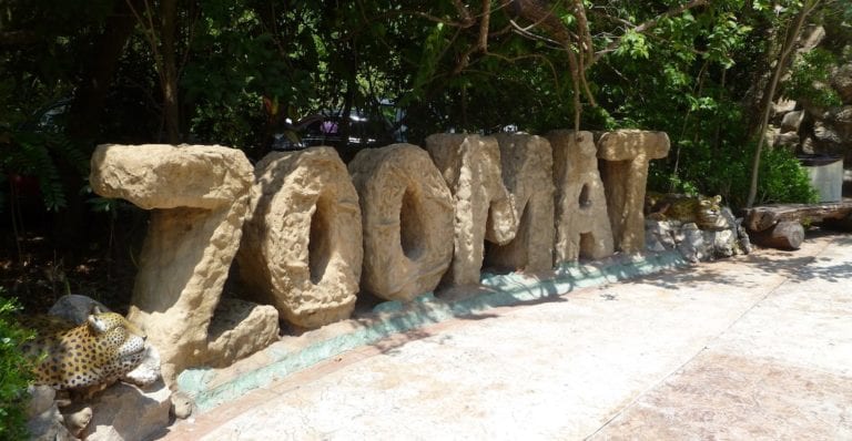 Intentó cazar dentro del zoológico y lo sentencian a limpiarlo por cuatro meses