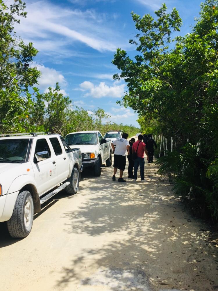 Se enterca "Greg" a proyecto en Cozumel, pese a clausura abren brecha