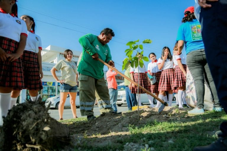 Intensa campaña de reforestación en Tulum