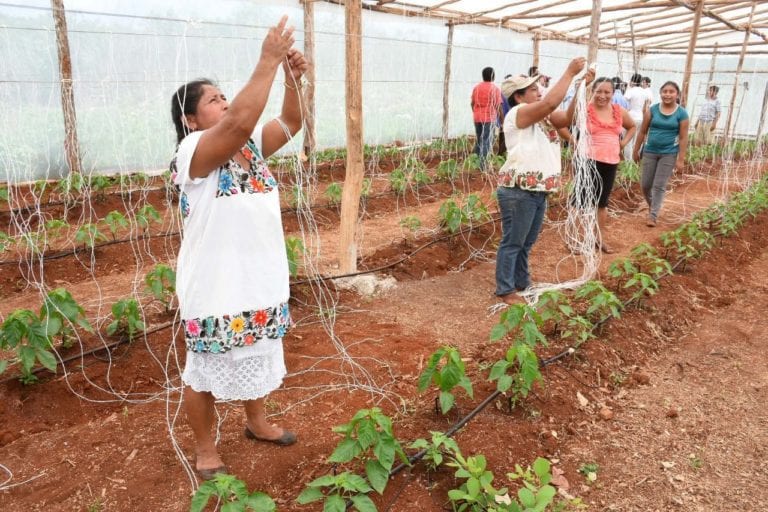 Pese a recorte de apoyos federales, se espera menor afectación: Sefiplan