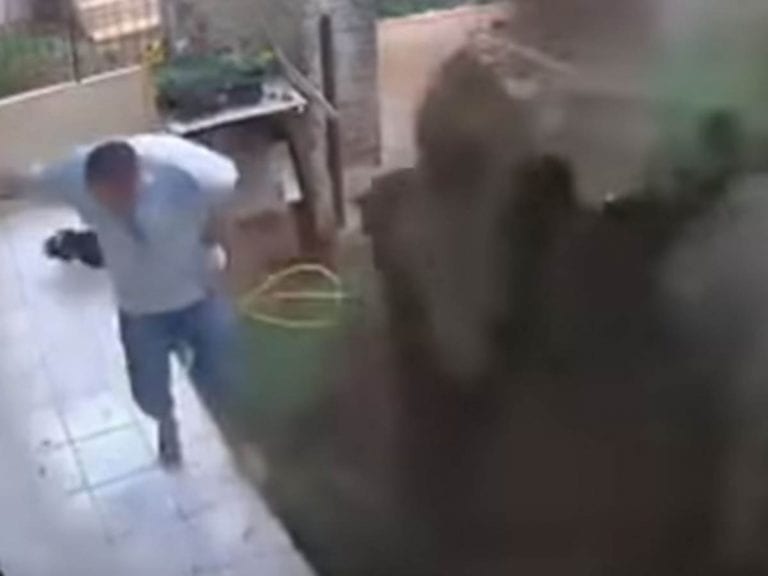 Video: Hombre explota su jardín para acabar con las cucarachas