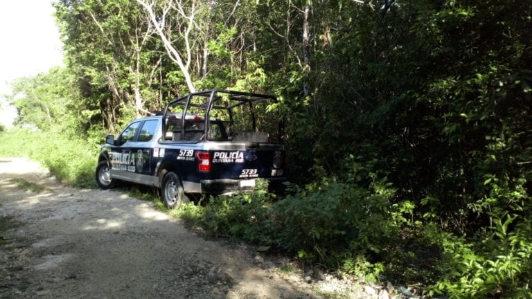 Feminicidio en Alfredo V. Bonfil