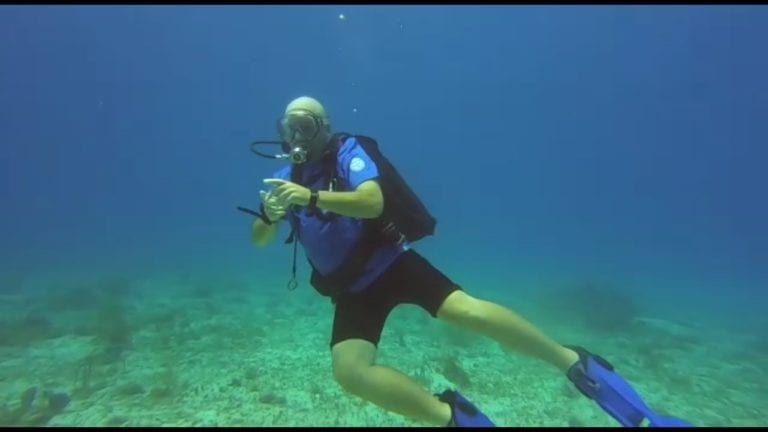 Buzo de Cozumel maltrata a los animales