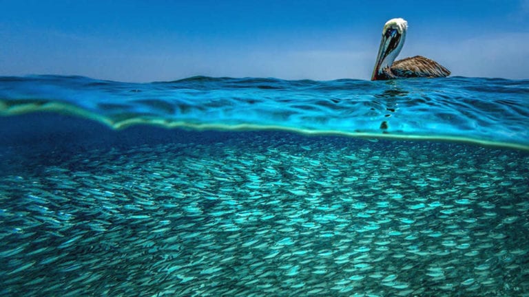 Las 8 maravillas naturales más espectaculares en Quintana Roo