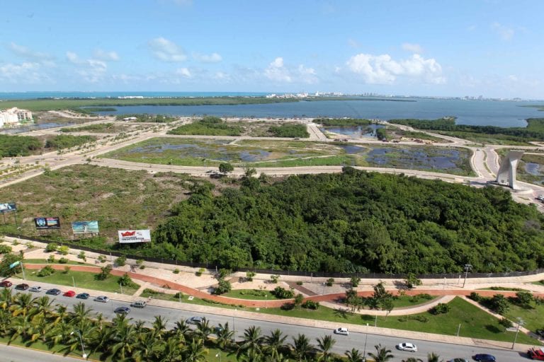 Se protegerán a todas las especies de Tajamar durante el Carnaval Cancún 2020