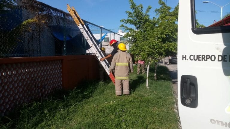 Provoca corto circuito en primaria movilización de bomberos