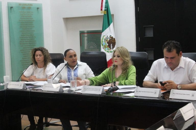 Generar un vínculo entre productores y consumidores, fundamental para apoyar la producción del sur: Cristina Torres