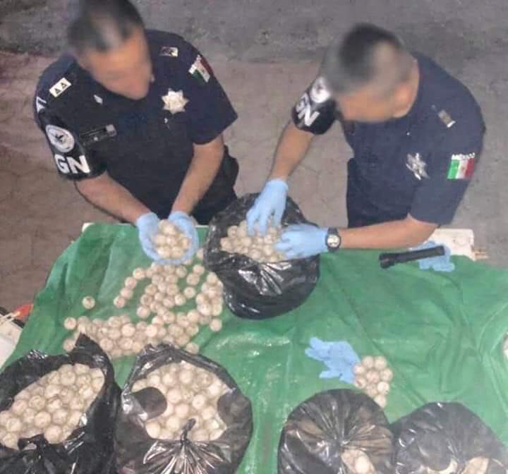 Guardia Nacional asegura más de 17 mil huevos de tortuga