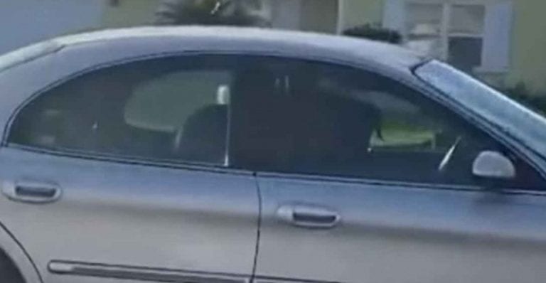 VIDEO: Lomito al volante desata pánico; lo dejaron solo dentro del vehículo