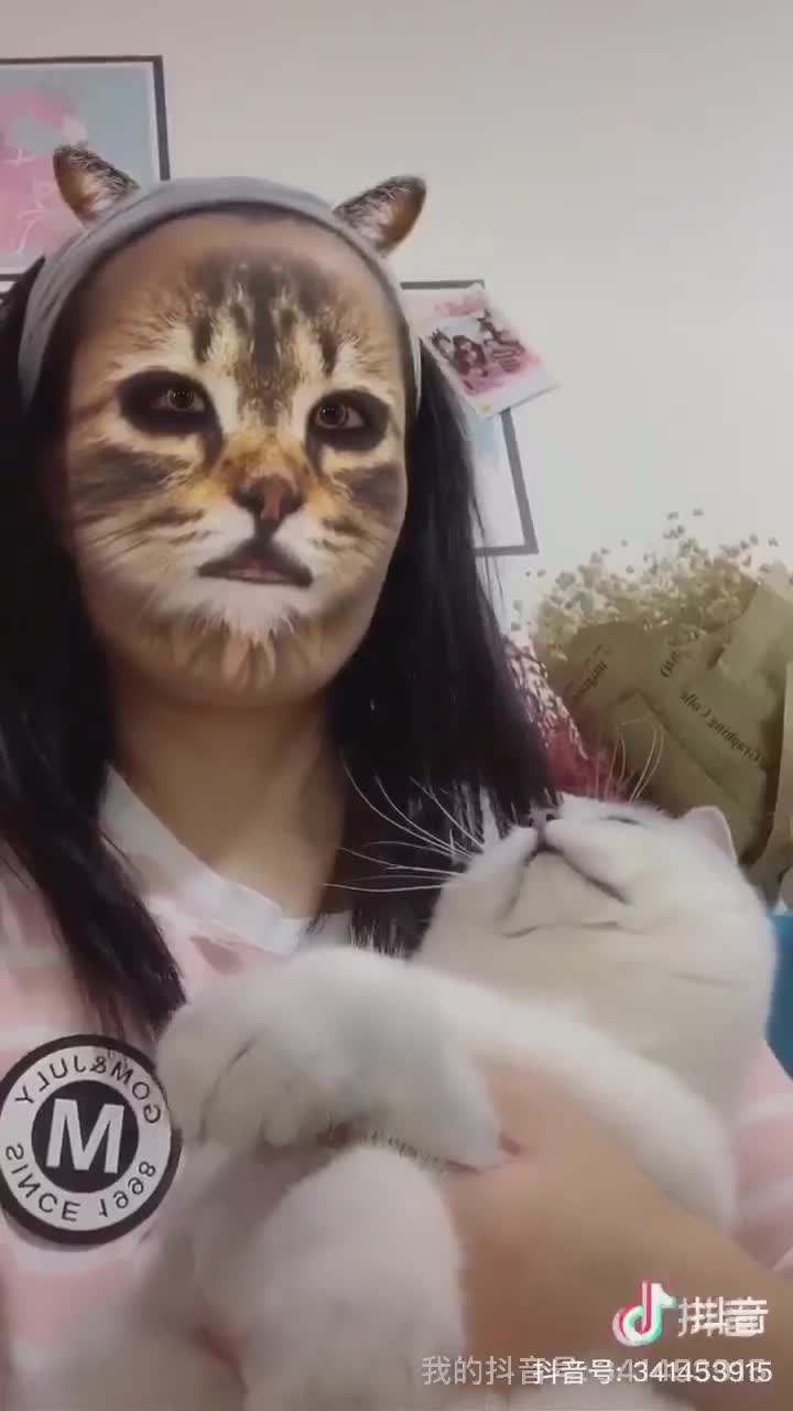 Gatos se vuelven virales por asustarse con un filtro de Snapchat