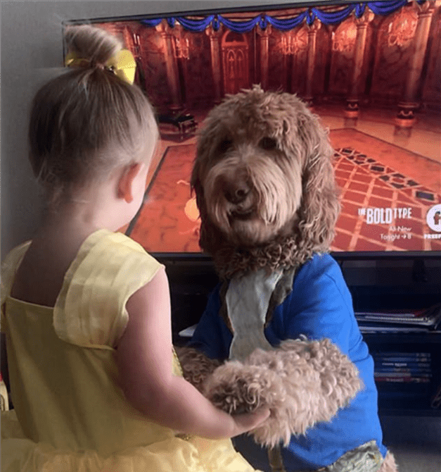 Enamora niña disfrazada de ‘Bella’ junto a su perro ‘Bestia’