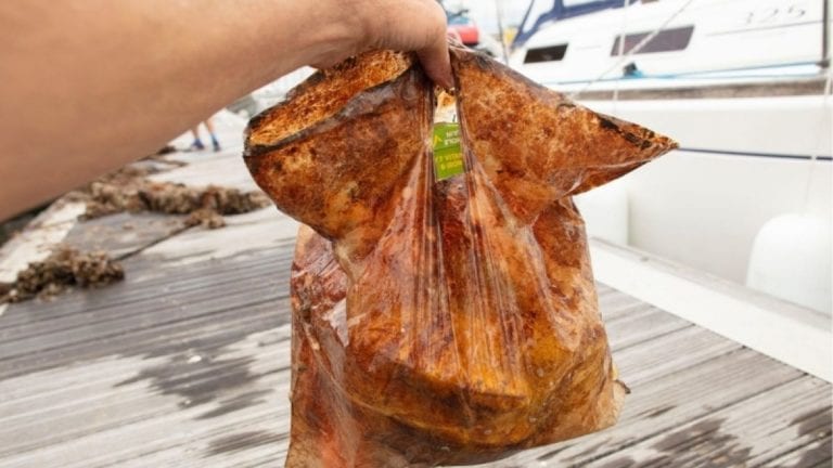 Denuncian que bolsas biodegradables no son tales