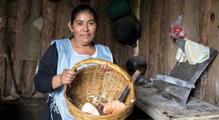 Rutopia, el Airbnb de las comunidades indígenas mexicanas