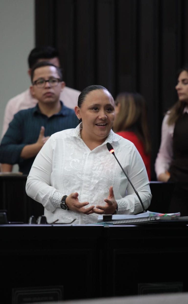 Rechaza Cristina Torres Ley de Ingresos de Solidaridad