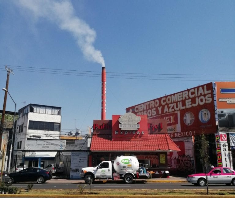 Para reducir contaminación, México tendría que reforestarse dos veces