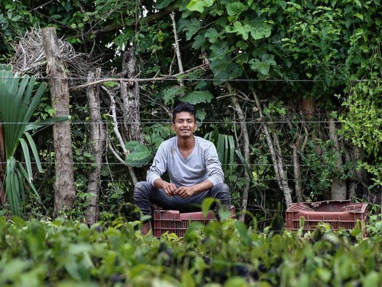 Programa Sembrando Vida llegará a más de un millón de hectáreas en 2020