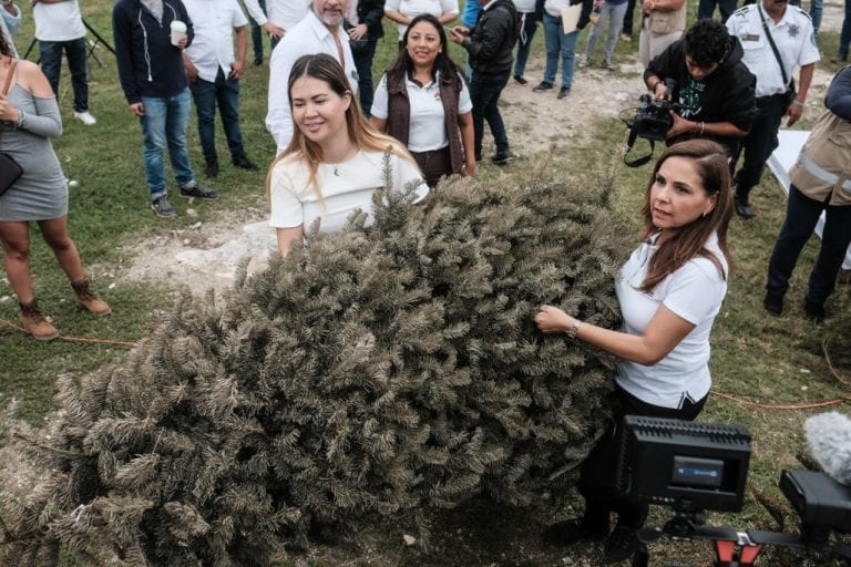 Ubica los 26 centros de acopio de árboles navideños en Cancún