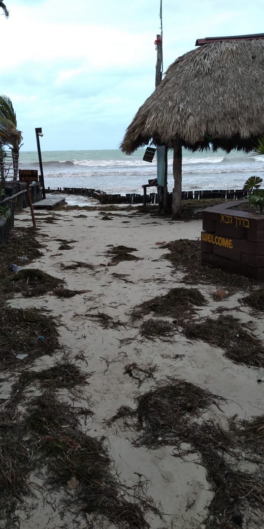 Se llena Holbox de sargazo por mal tiempo