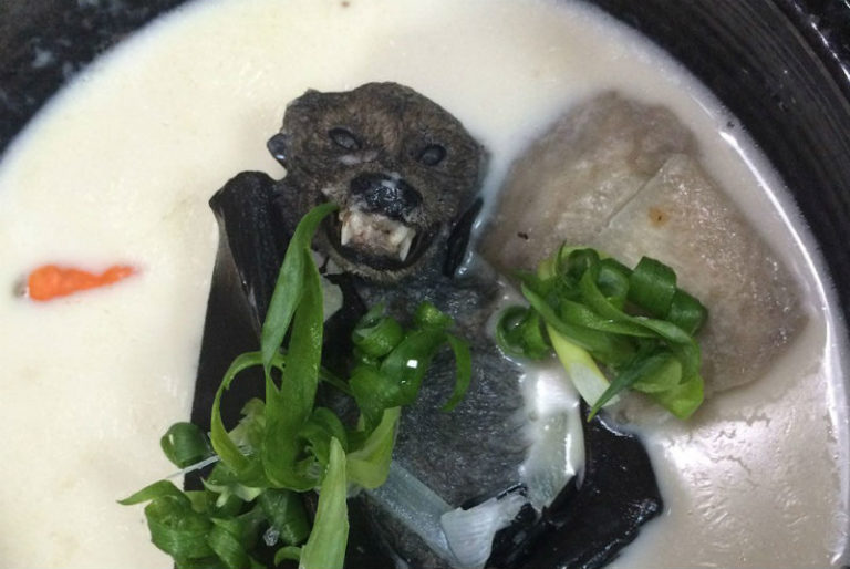 Por coronavirus, China prohíbe consumo y comercio de animales salvajes