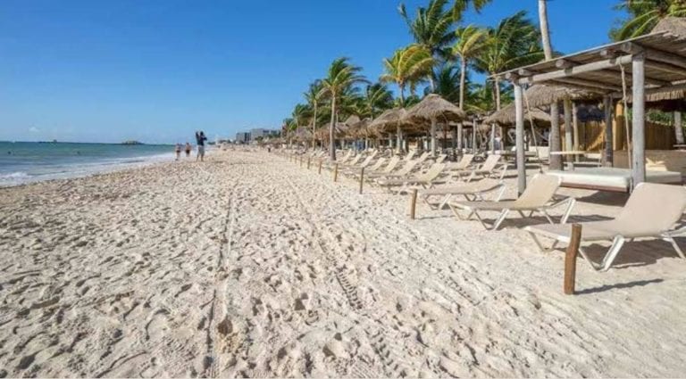 Ofrecen tours a cancunenses para ir al picnic de Mamitas