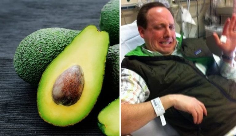 Aguacates causan cerca de 30 mil heridos en Estados Unidos por “malos intentos”