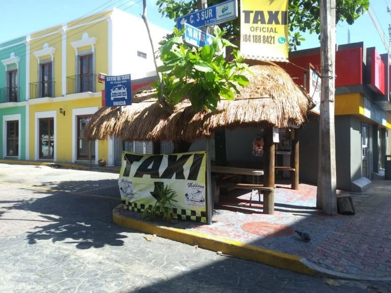 ¡No se paran ni las moscas en la Quinta Avenida a causa del coronavirus!