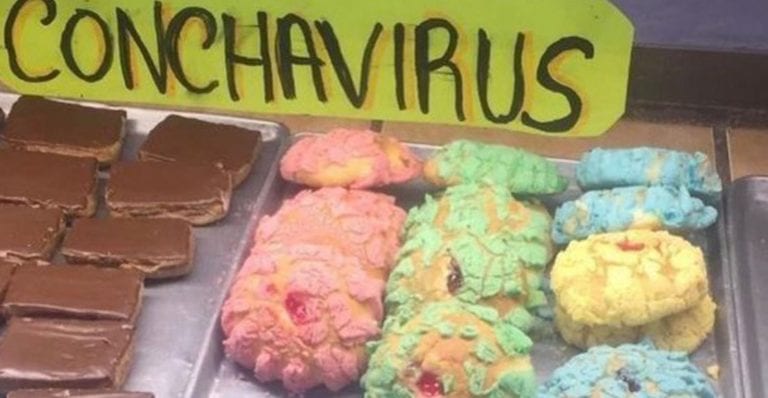 México mágico: Surgen las ‘conchavirus’ y se viralizan