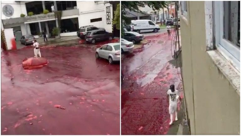 Video: Calles de Argentina se inundan con 500 mil litros de sangre