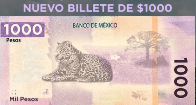 Te presentamos todos los animales que aparecerán en los nuevos billetes