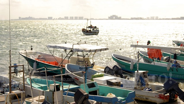 Náuticos buscarán frente común contra cierres de puerto en Q. Roo