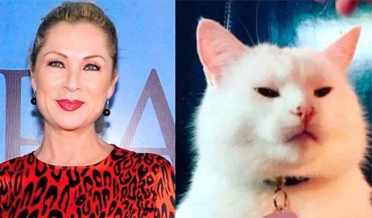 Bautizan en redes a la actriz Leticia Calderón como #LadyMataGatos