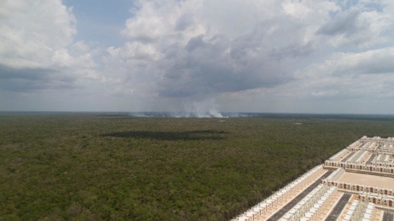 Incendios en Playa del Carmen.