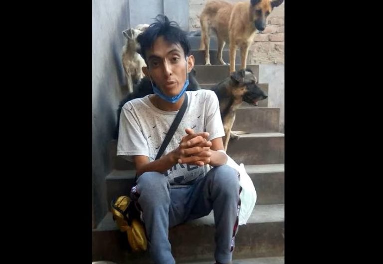 Video: Pide ayuda para alimentar a sus 90 perros debido a la pandemia y se hace viral