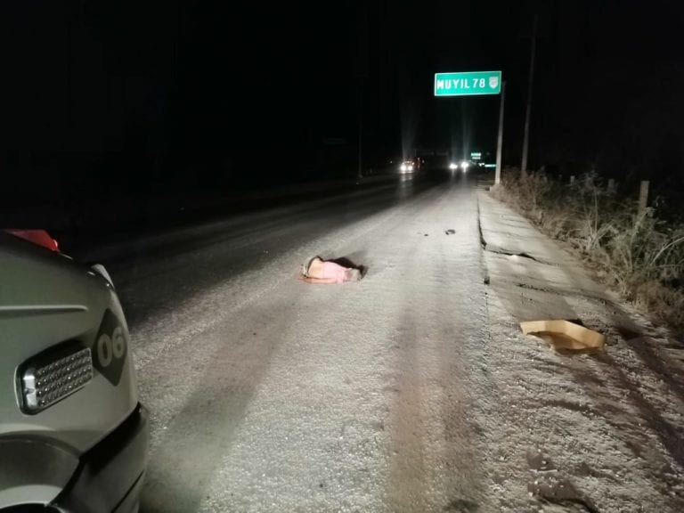 Fatal arrollamiento por Punta Venado