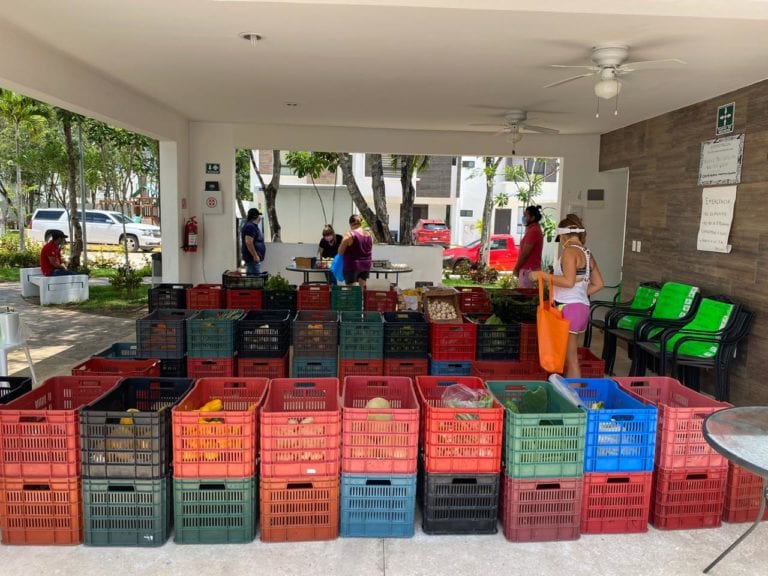 Si no puedes ir al mercado en Playa del Carmen, éste va a ti durante cuarentena