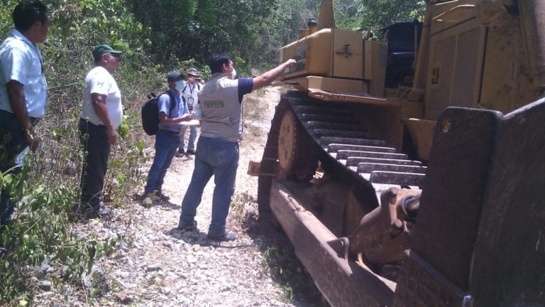 ¡Devastan en cuarentena! Arrasan con 10 hectáreas en ejido de Lázaro Cárdenas