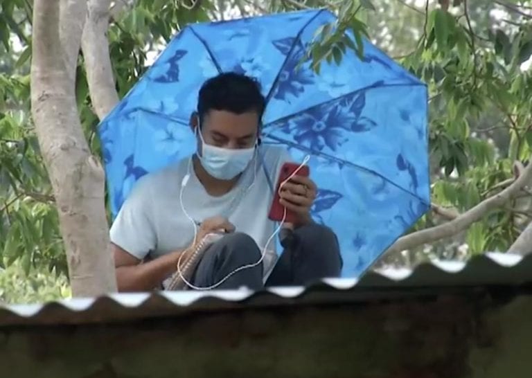 Video: ¡Joven se sube a un árbol cada día para tener internet y poder estudiar!