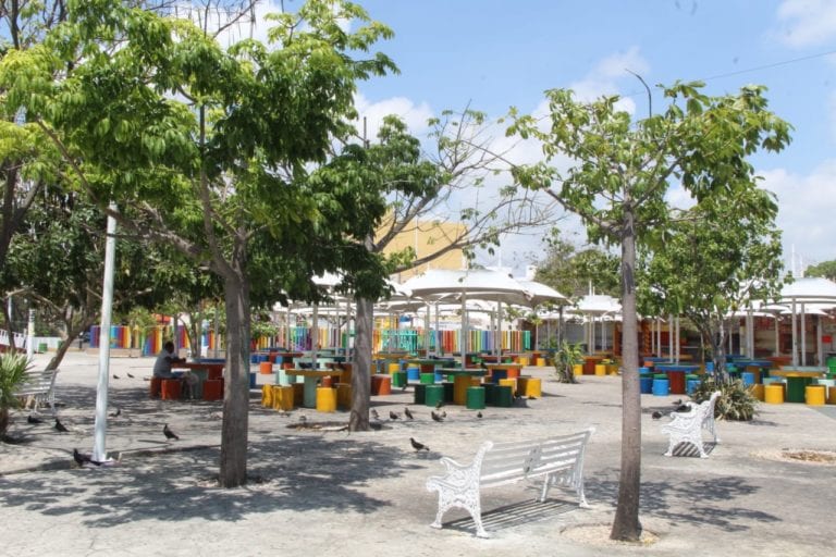 “Muerto” el parque de las Palapas; solo las palomas se pasean