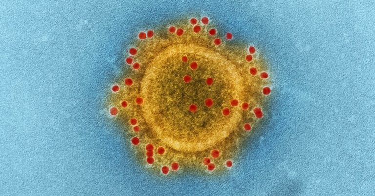 Coronavirus se originó en laboratorio chino y no en mercado de Wuhan: The Washington Post
