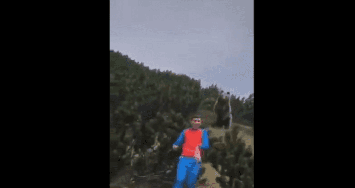 niño es asechado por oso