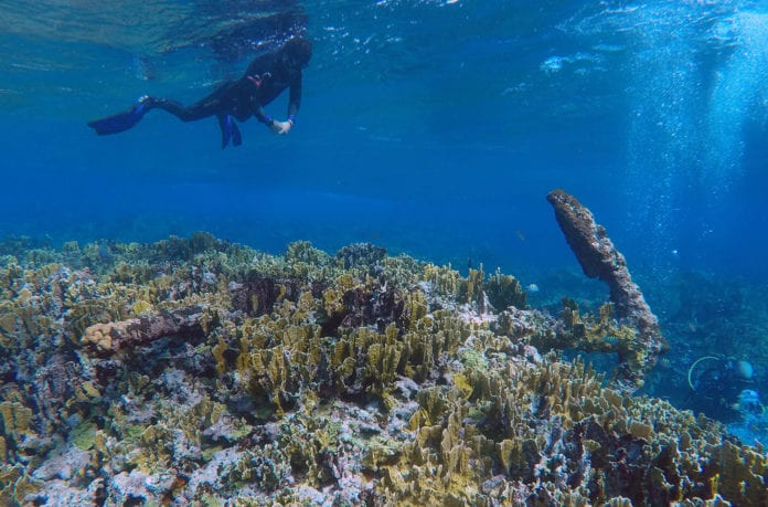 El pecio “Manuel Polanco”, nombrado así en honor del pescador que lo ubicó e informó al INAH, es el número 70 registrado en la Reserva de la Biosfera de Banco Chinchorro