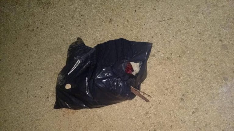 Era yucateca, víctima que fue descuartizada en Playa del Carmen