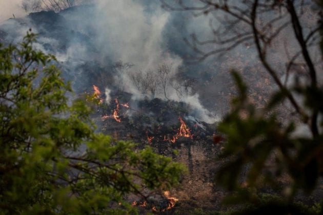 Incendio en Tepoztl&aacute;n, Morelos